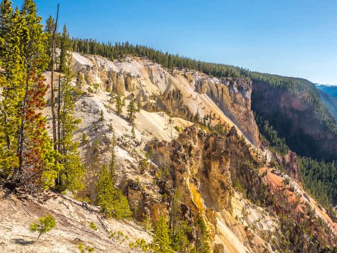 View of the Lower Falls, Yellowstone National Park