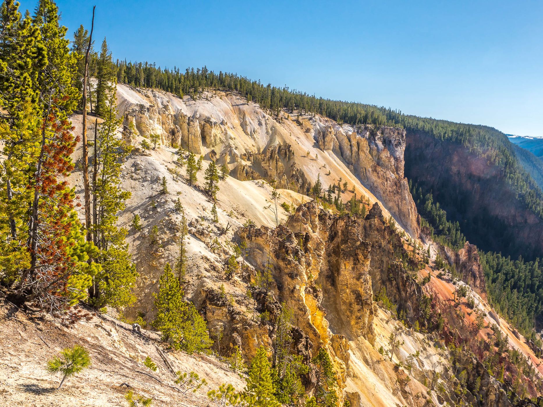 View of the Lower Falls, Yellowstone National Park, USA
