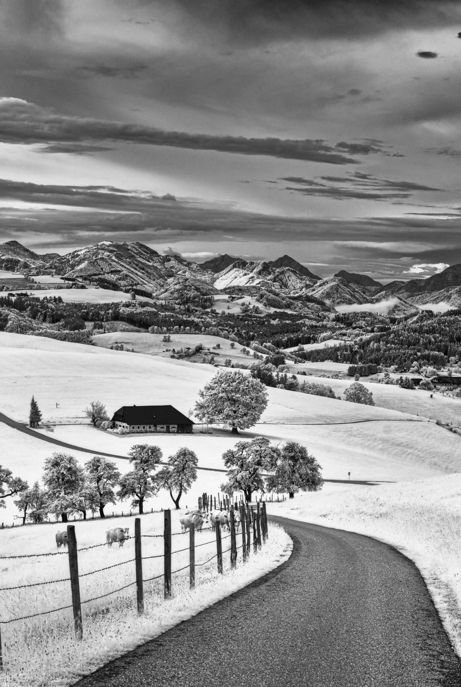 View toward Kalkalpen National Park, Austria
