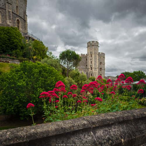 Windsor Castle