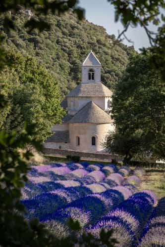 Abbaye Notre-Dame