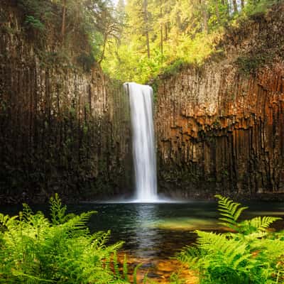 Abiqua Falls, USA