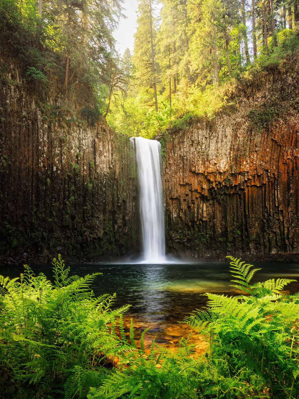 Abiqua Falls, USA