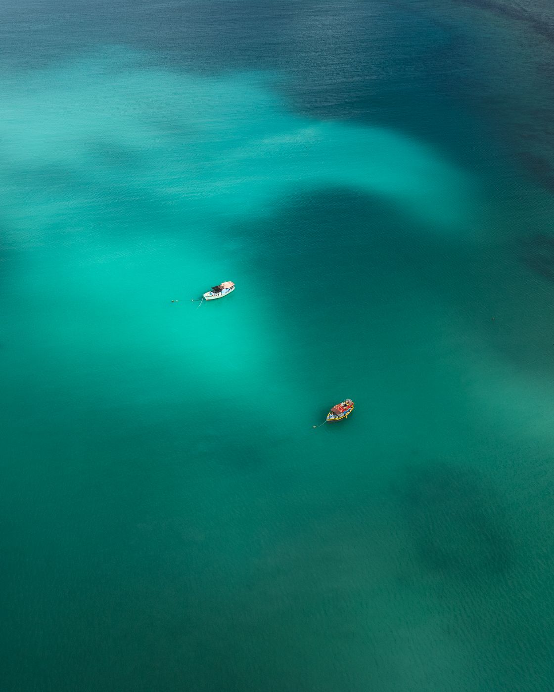 Anse aux poules bleues, Seychelles