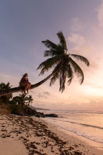 Anse Baleine