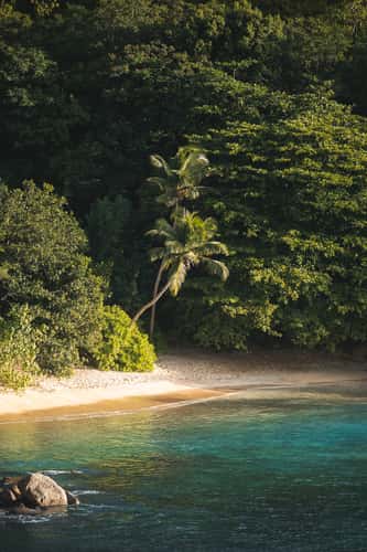 Anse Major viewpoint