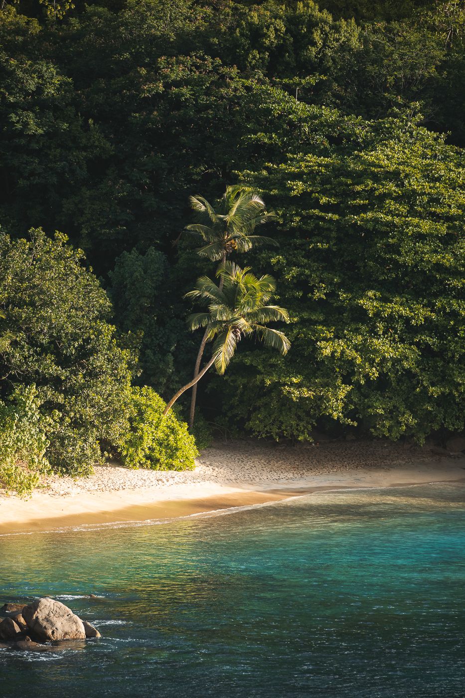 Anse Major viewpoint, Seychelles