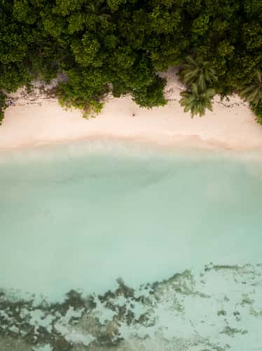 Anse Réunion