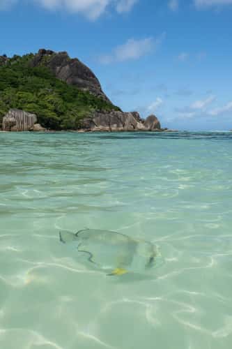 Anse Source d'Argent