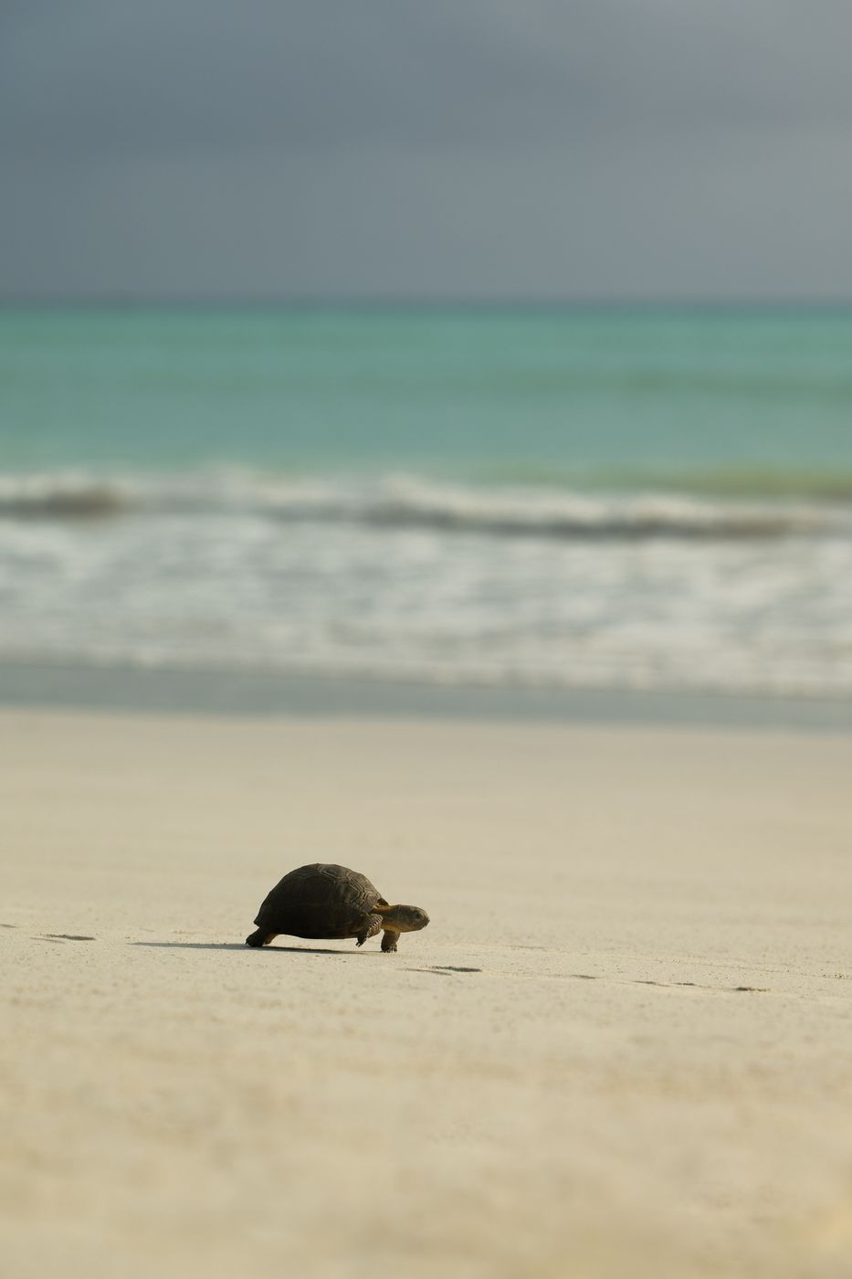 Anse Volbert, Seychelles