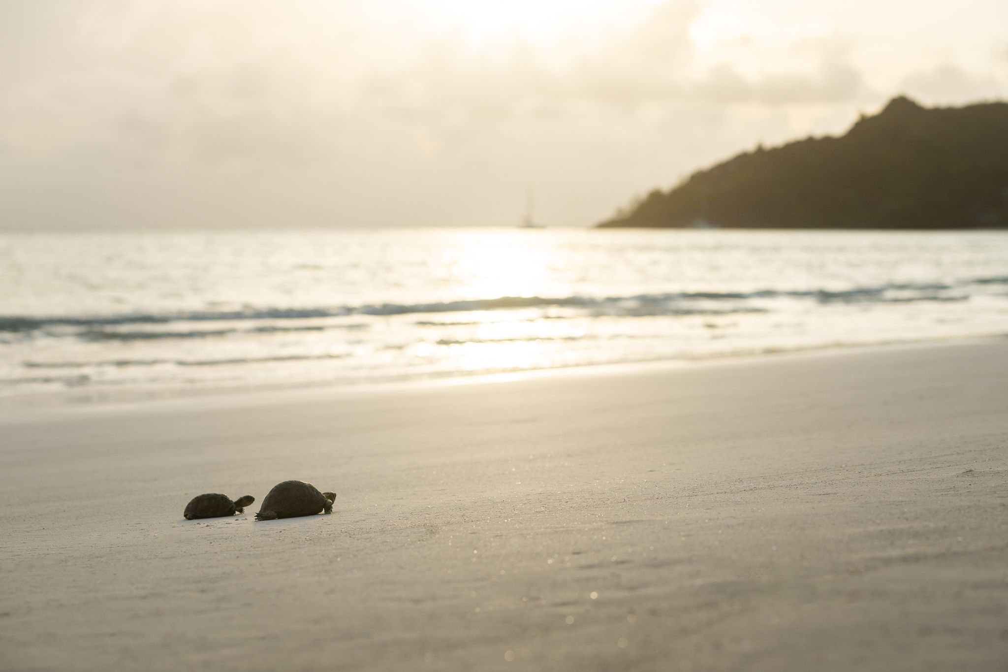 Anse Volbert, Seychelles