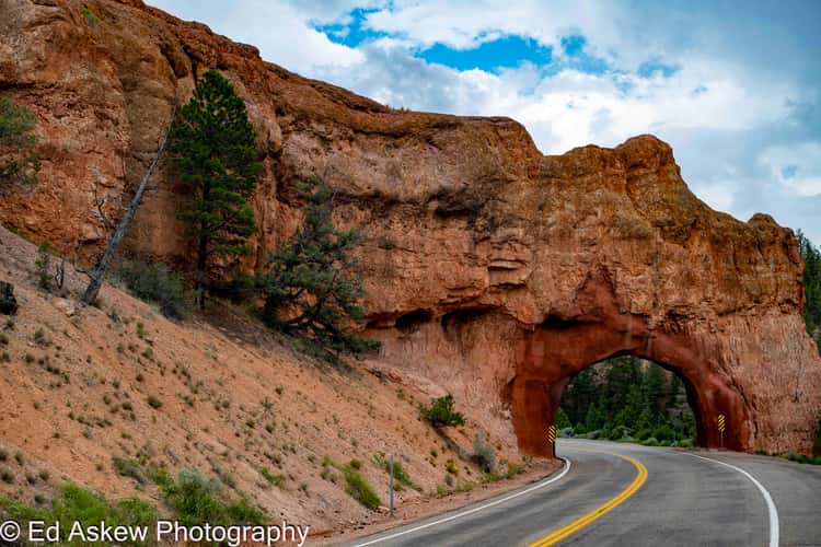 Arches at Red Canyon Trailhead