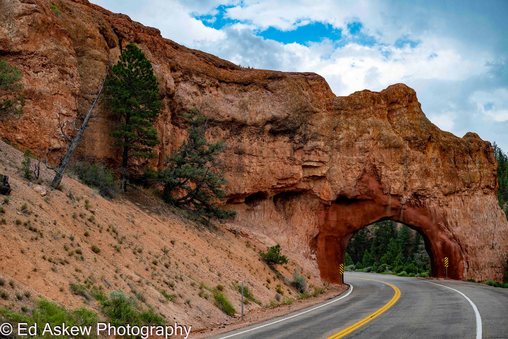 Arches at Red Canyon Trailhead, USA