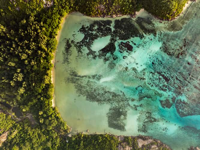 Baie Ternay (top down)