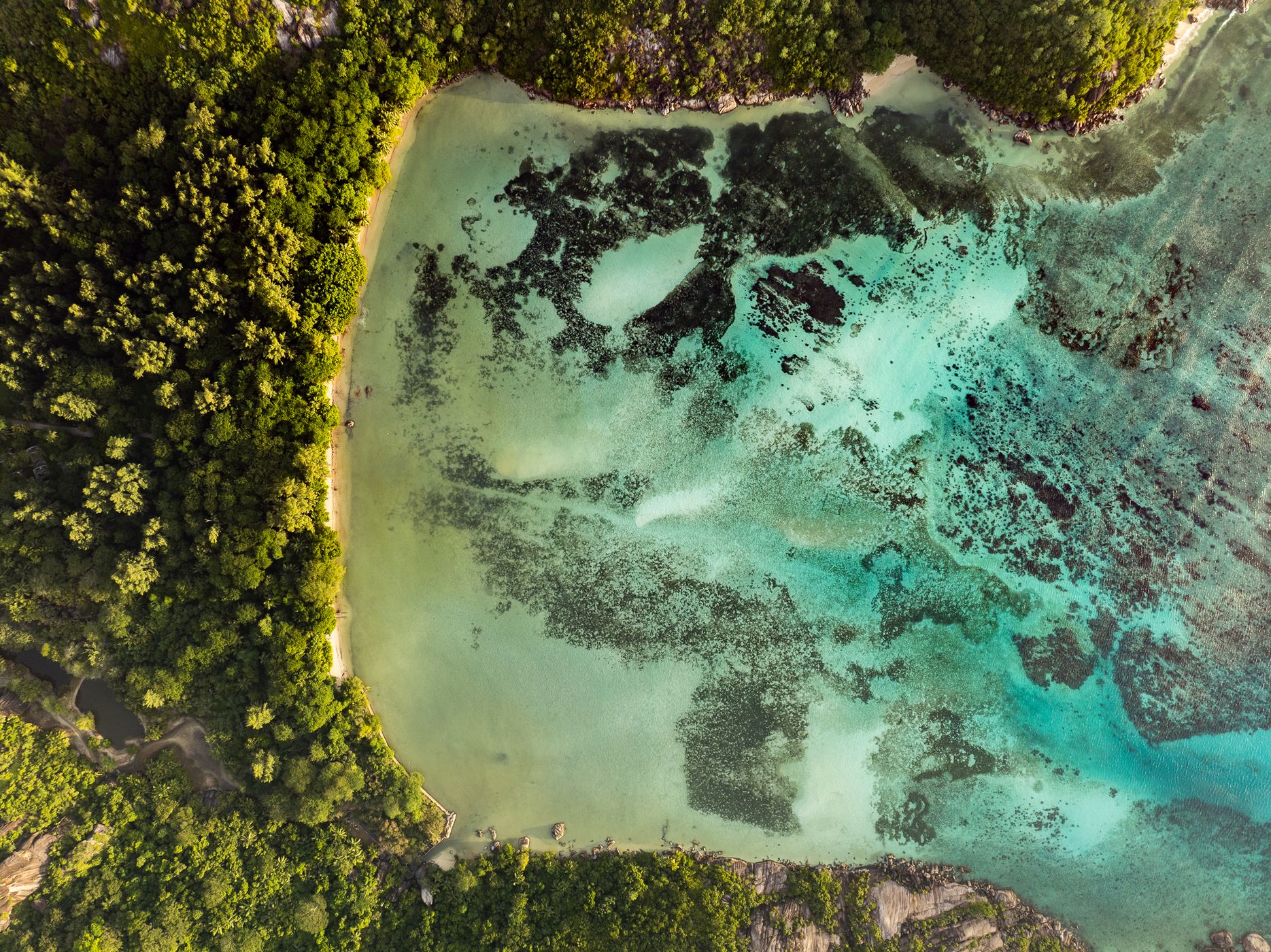 Baie Ternay (top down), Seychelles