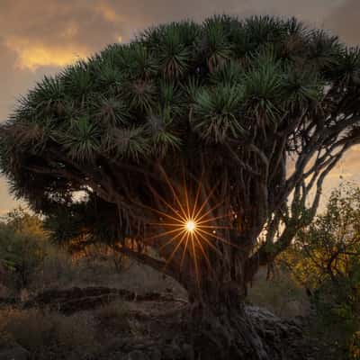 Barrancos and Nature, Spain