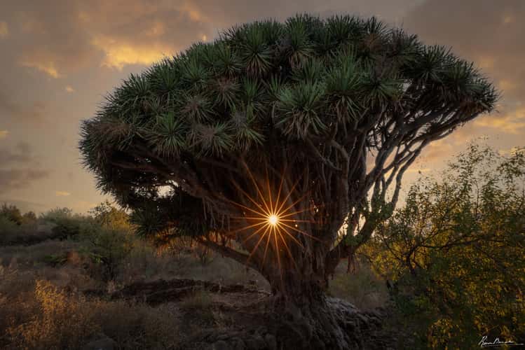 Barrancos and Nature