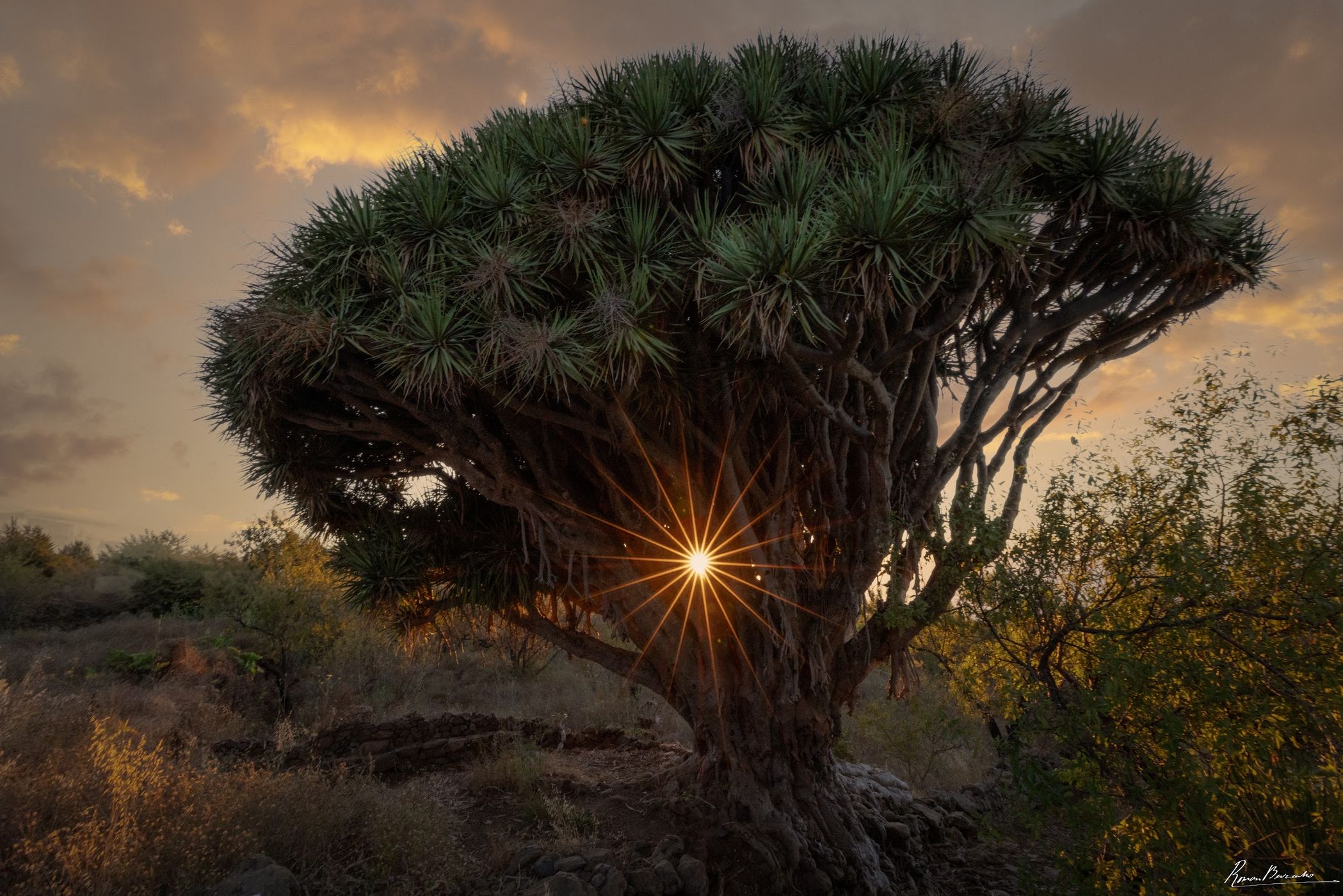 Barrancos and Nature, Spain