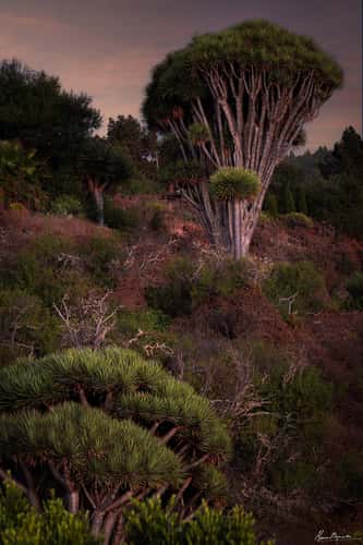 Barrancos and Nature