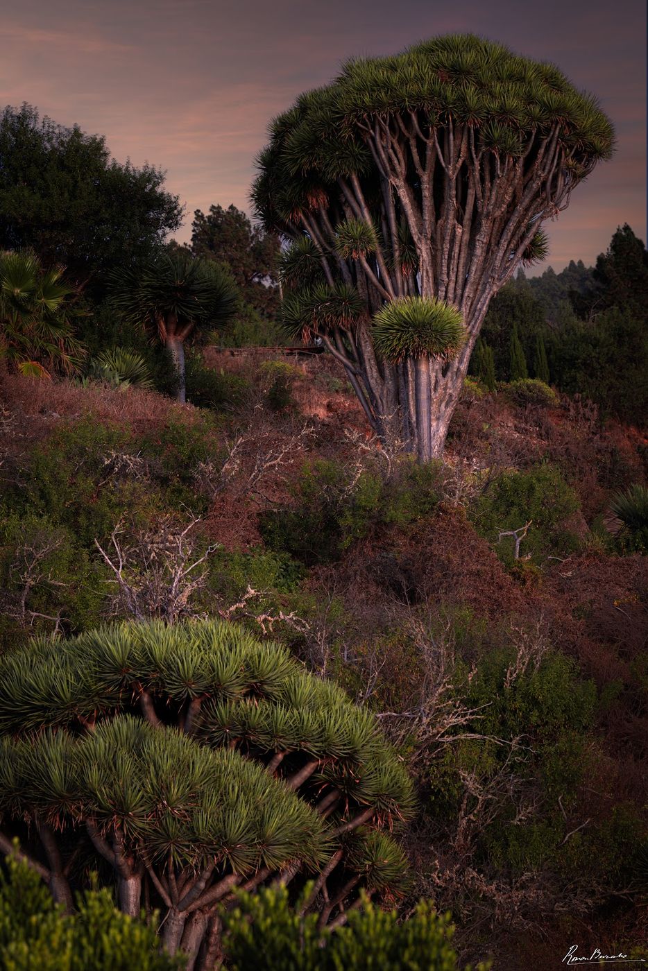 Barrancos and Nature, Spain