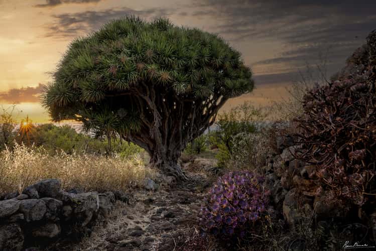 Barrancos and Nature