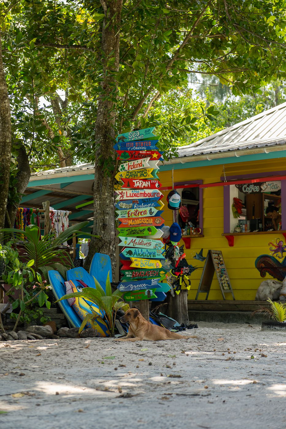 Bikini Bottom bar, Seychelles