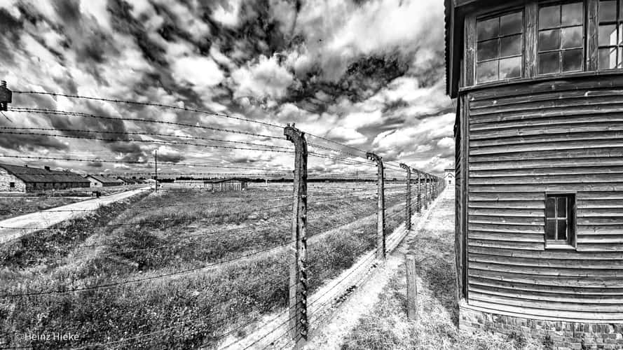 Birkenau