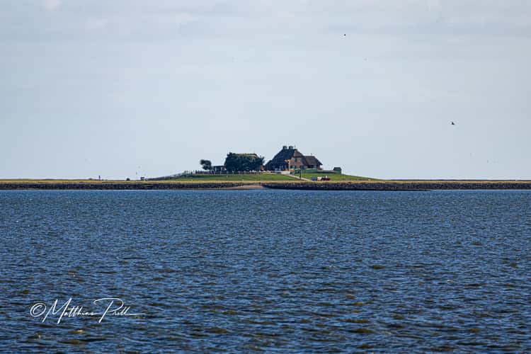 Blick auf Hallig Südfall