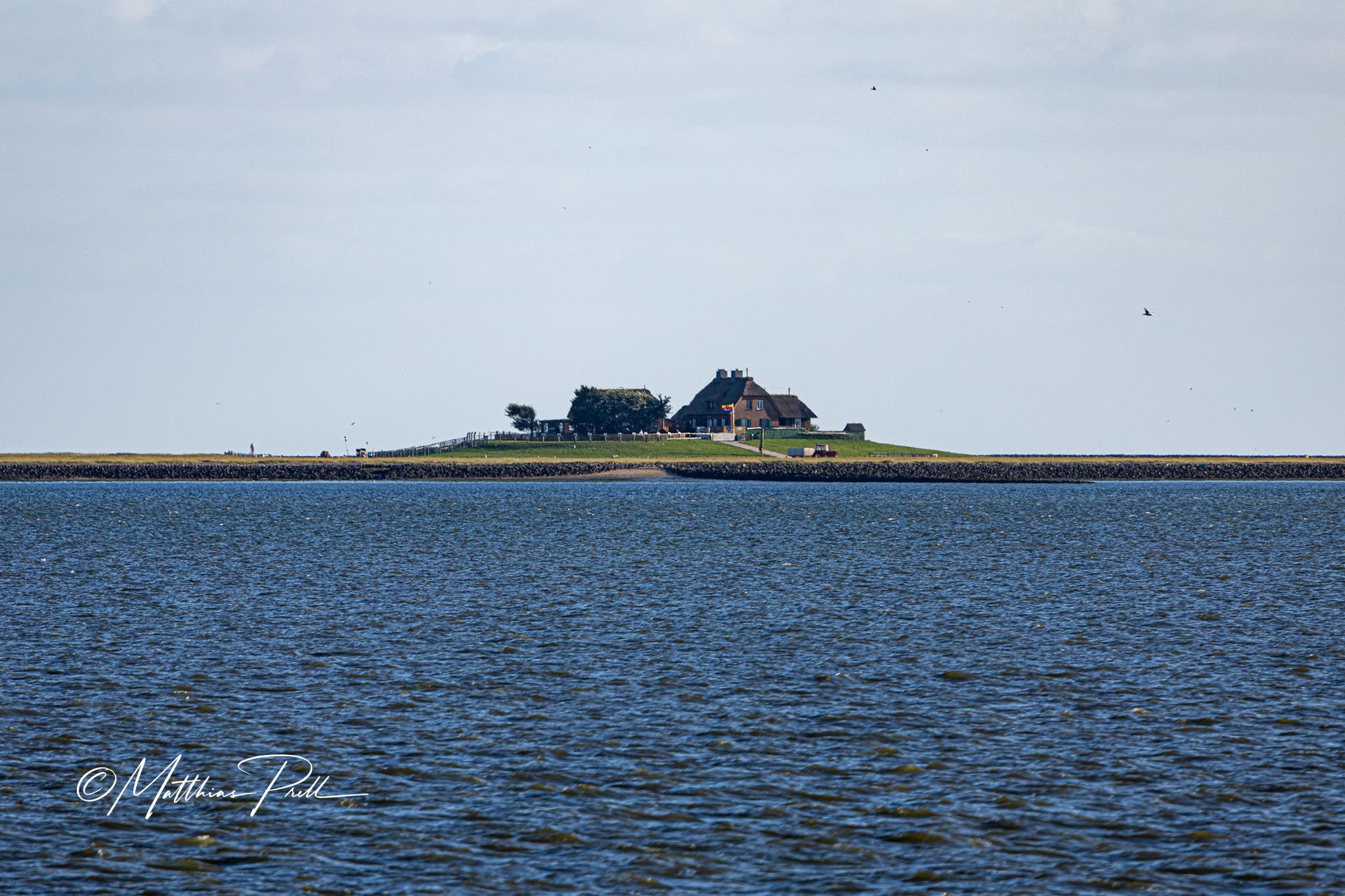 Blick auf Hallig Südfall, Germany