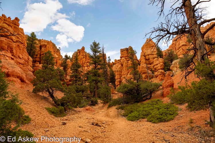 Box Canyon