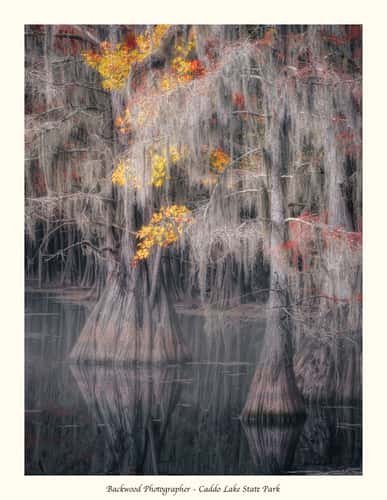 Caddo Lake