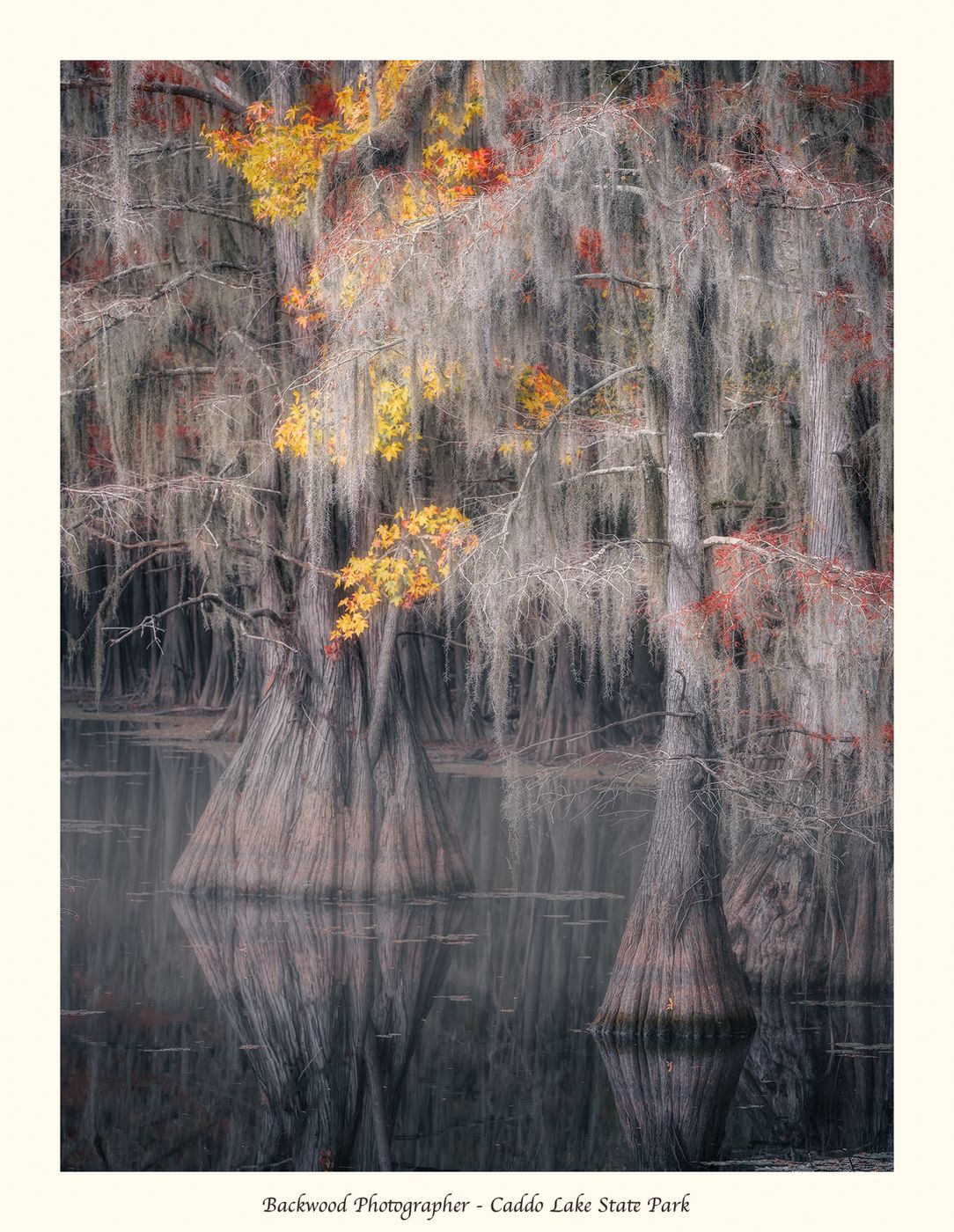 Caddo Lake, USA