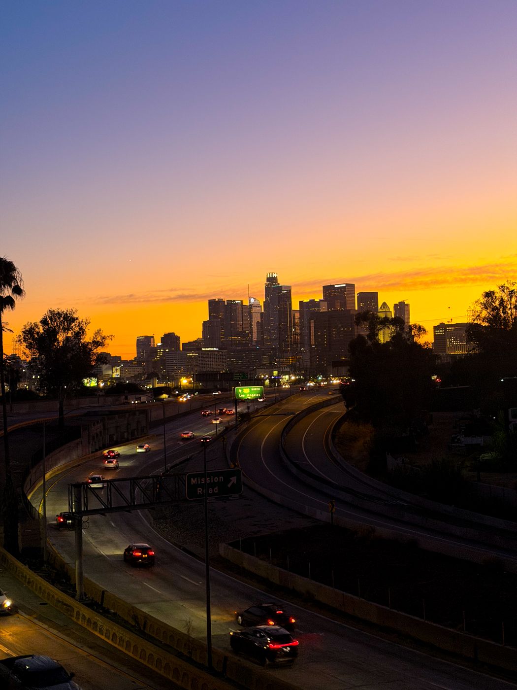 Cesar Chavez Bridge, USA