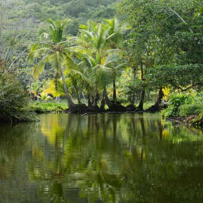 Cheval Blanc Seychelles road, Seychelles