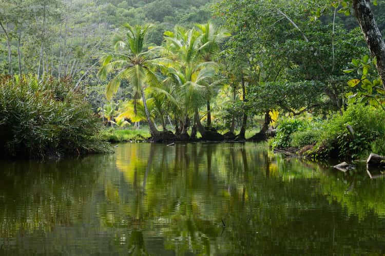 Cheval Blanc Seychelles road