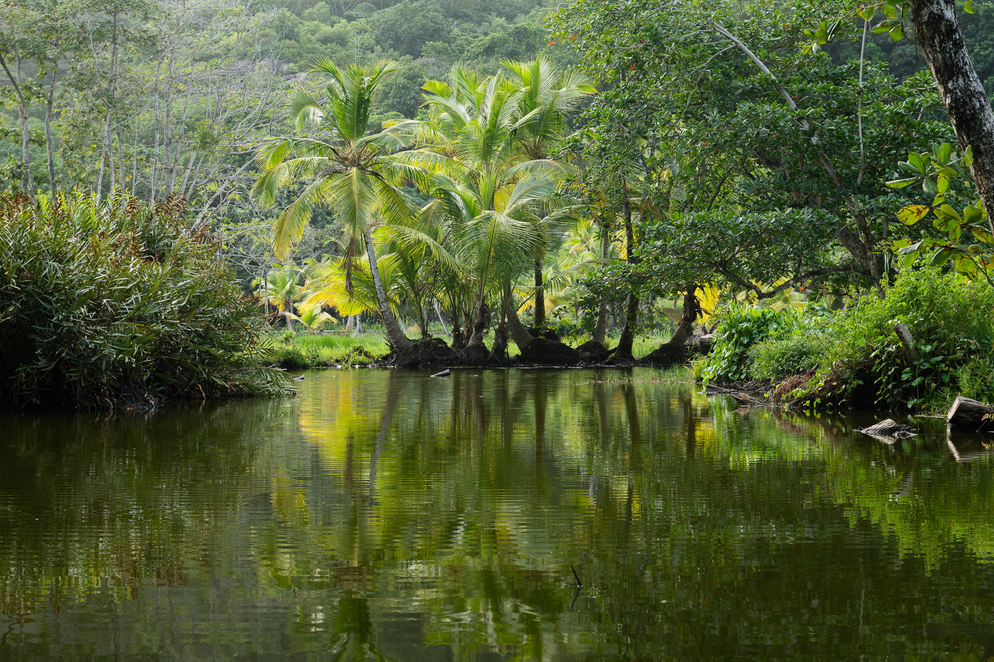 Cheval Blanc Seychelles road, Seychelles