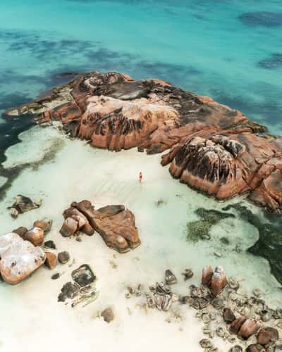Coco Island