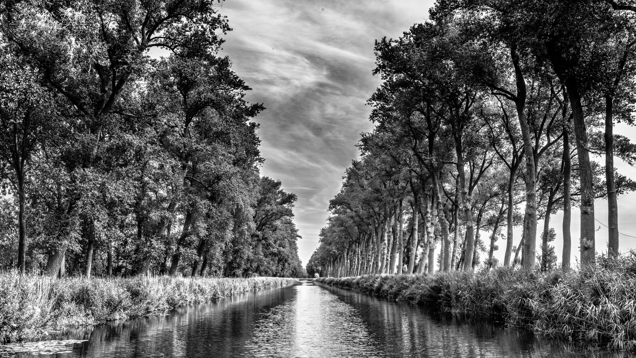 Damse vaart in black and white, Belgium