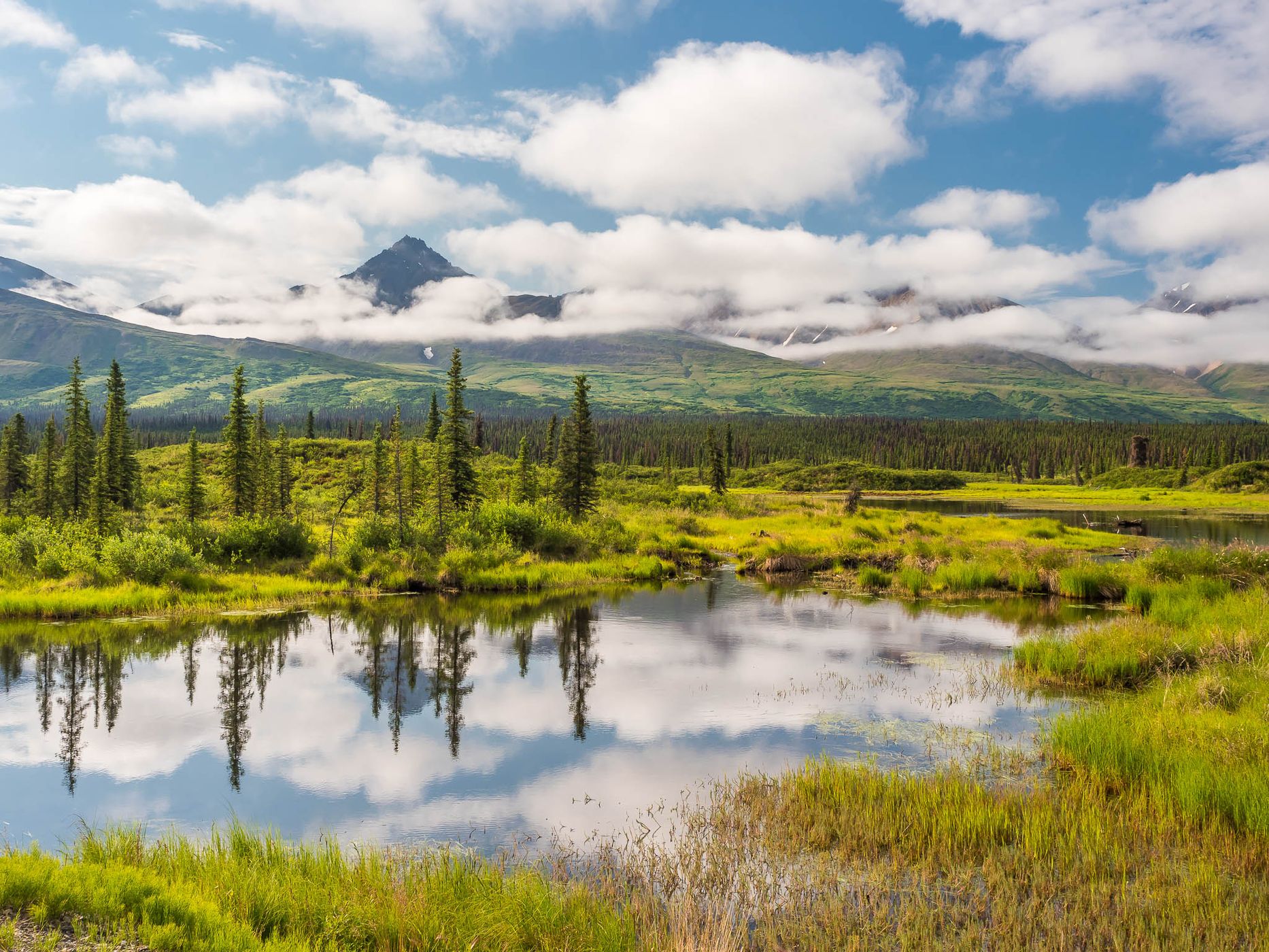 Denali Highway, western end, USA