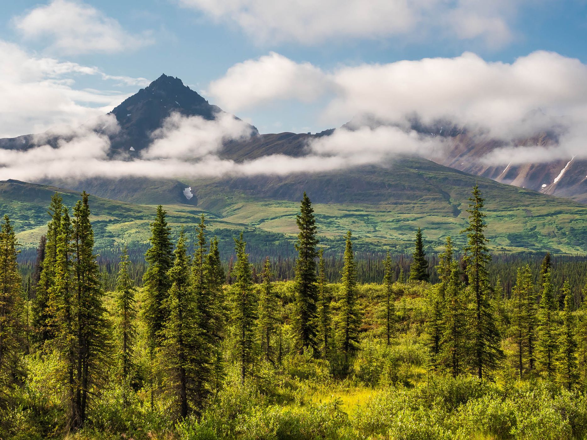 Denali Highway, western end, USA