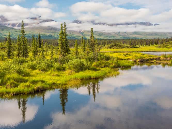 Denali Highway, western end