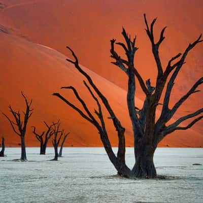 Desert landscape Deadvlei, Namibia