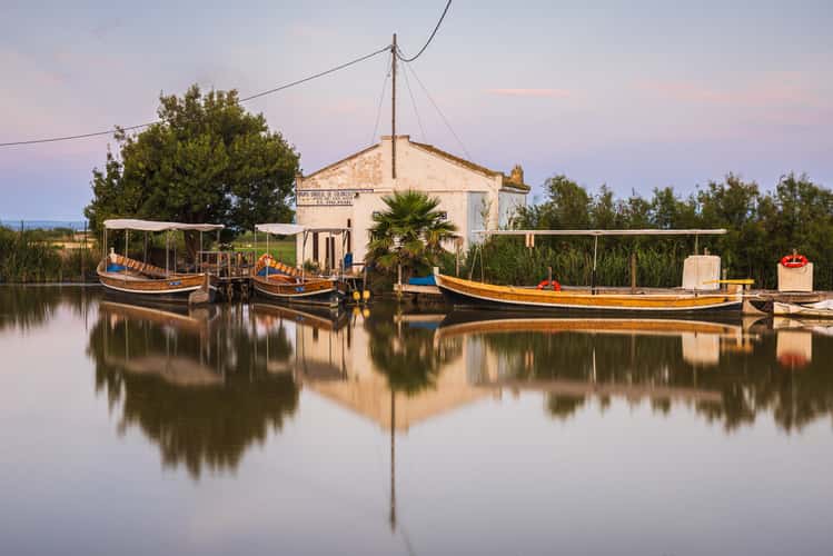 El Palmar