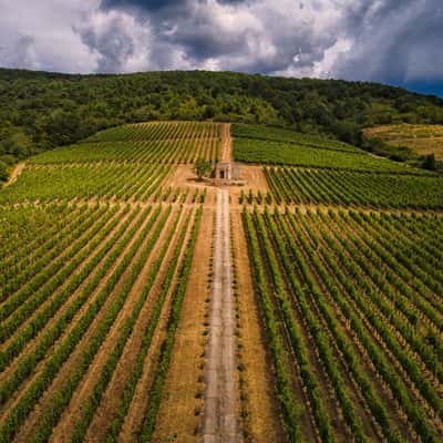Erdőbénye, Hungary