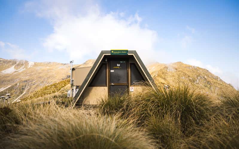Forest Burn Shelter