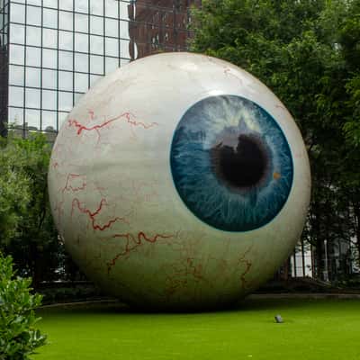 Giant Eyeball, USA