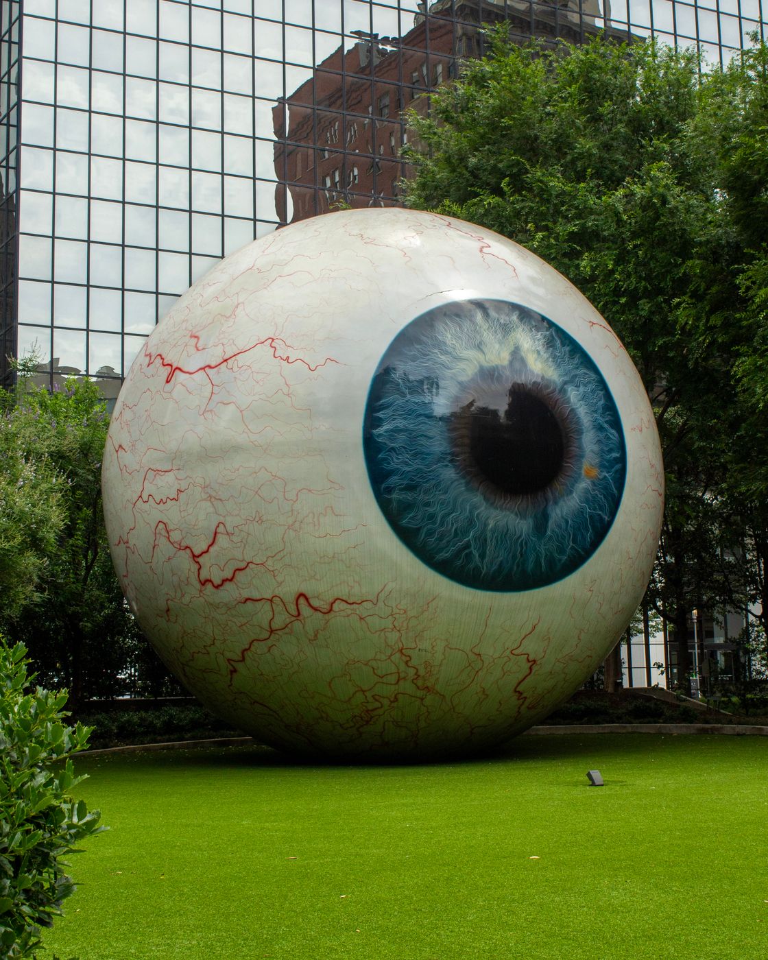 Giant Eyeball, USA
