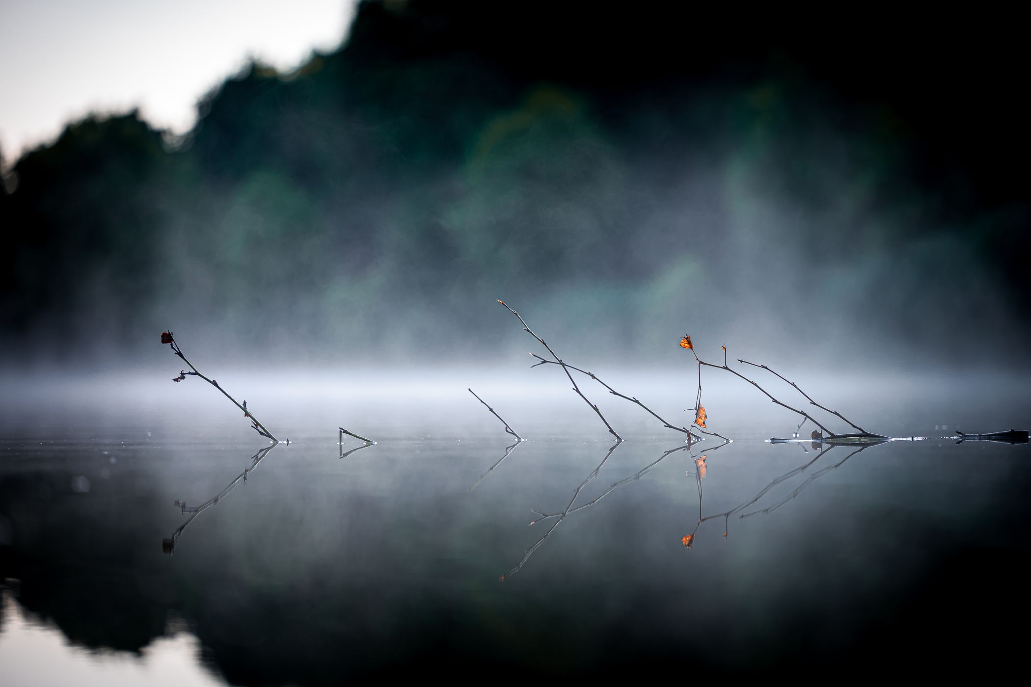 Hollersee, Germany