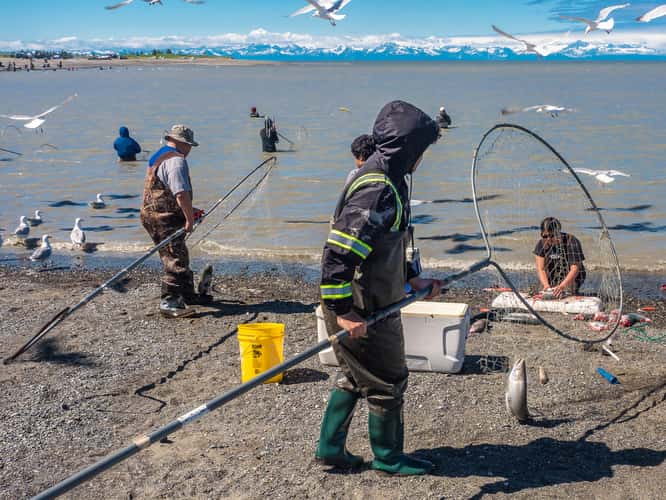 Kasilof Beach Dipnetting