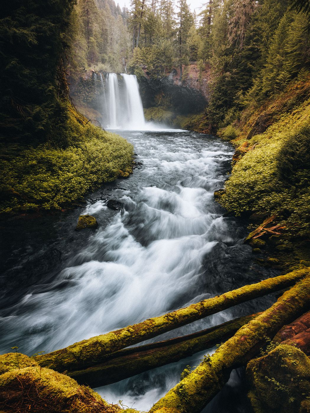 Koosah Falls, USA